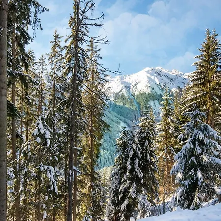 Moiklerhof Lejlighed Ramsau im Zillertal