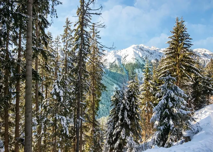 Moiklerhof Appartamento Ramsau im Zillertal
