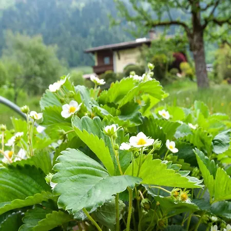 Moiklerhof Appartement
